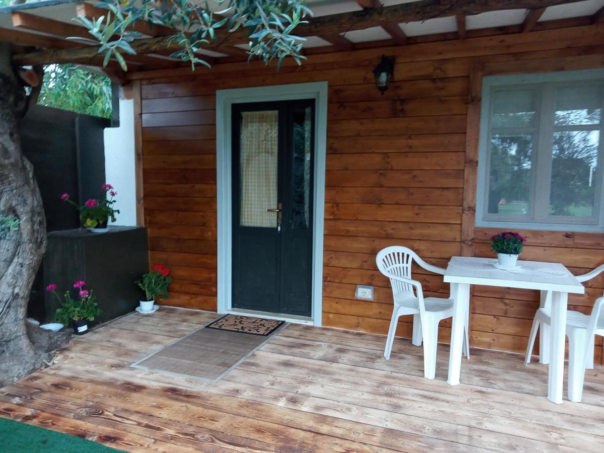 Domus Antiga Appartamenti 산 조반니 수에르기우 외부 사진